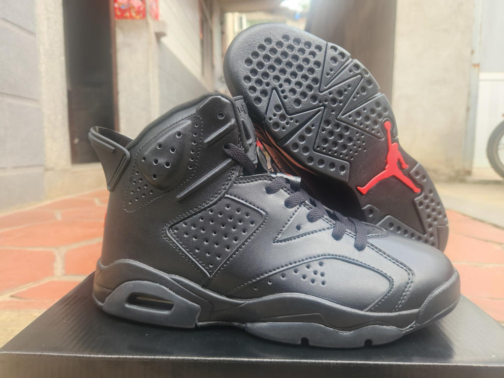 Air Jordan 6 Retro Sneakers - New Colorway