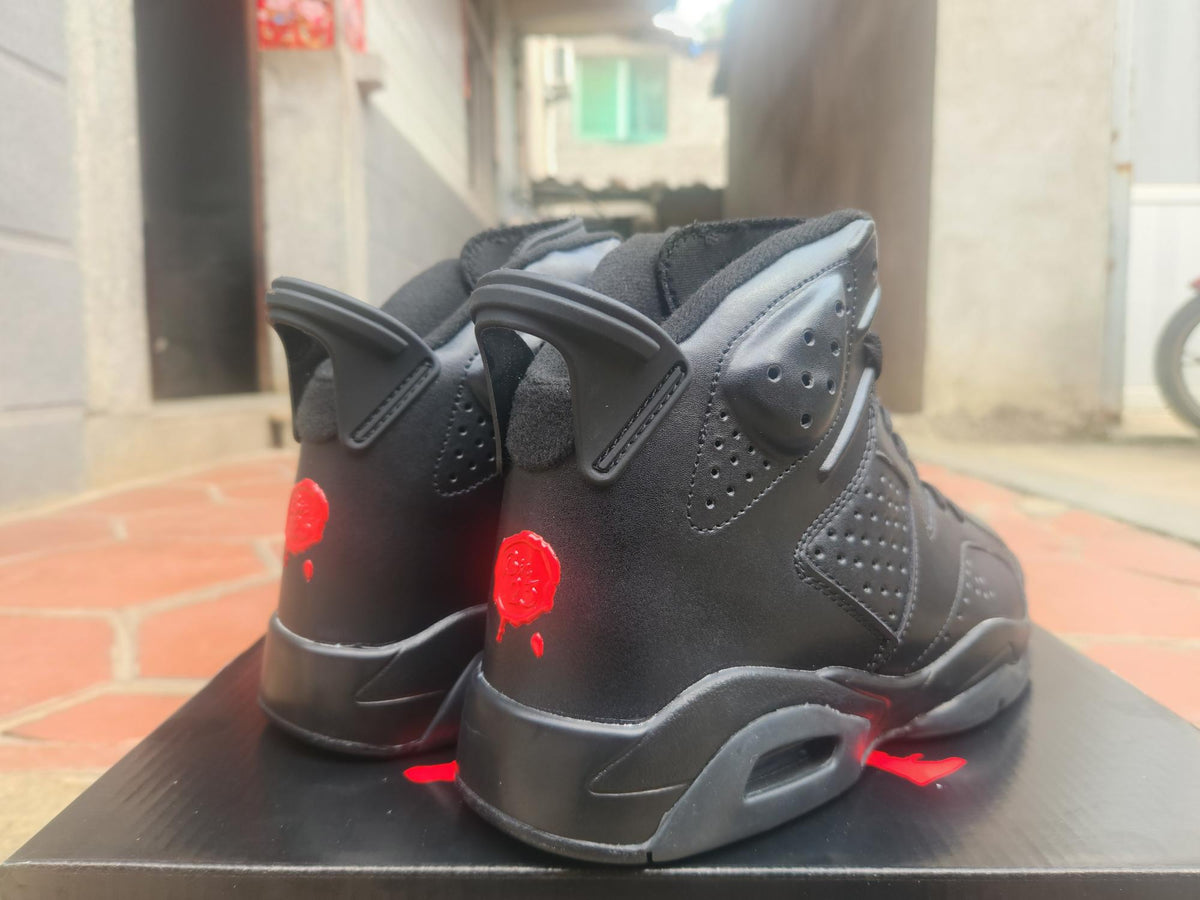 Air Jordan 6 Retro Sneakers - New Colorway