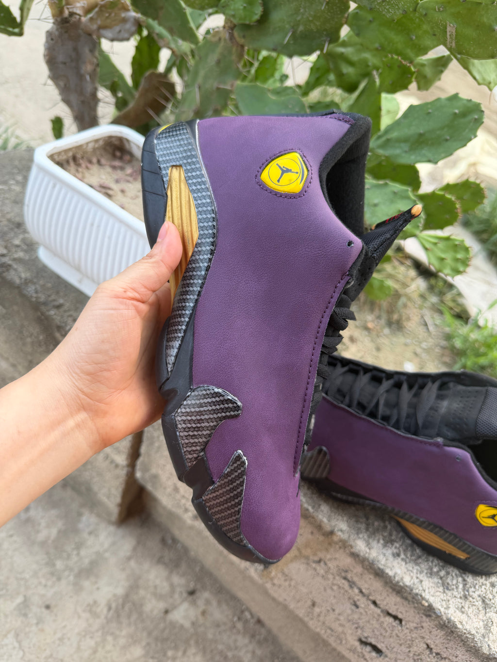 Air Jordan 14 Purple & Black | Amethyst Eclipse